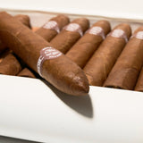 Belicosos | Box 25 | Sancho Panza cigar - HK Migratory cigars
