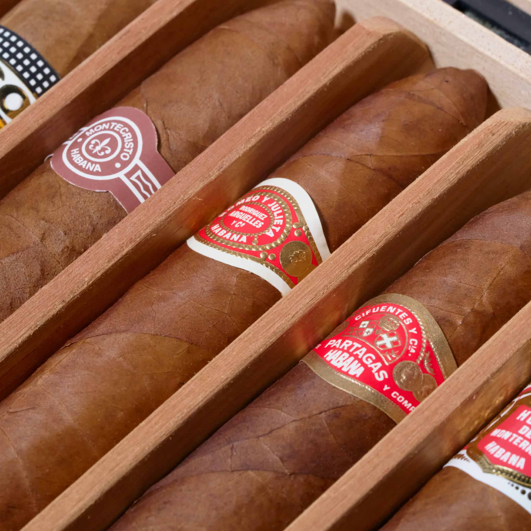 Selección Petit Robustos – Cuban Cigar Sampler Box | Box 5 | Cigar Migratory Hong kong | 古巴雪茄 香港