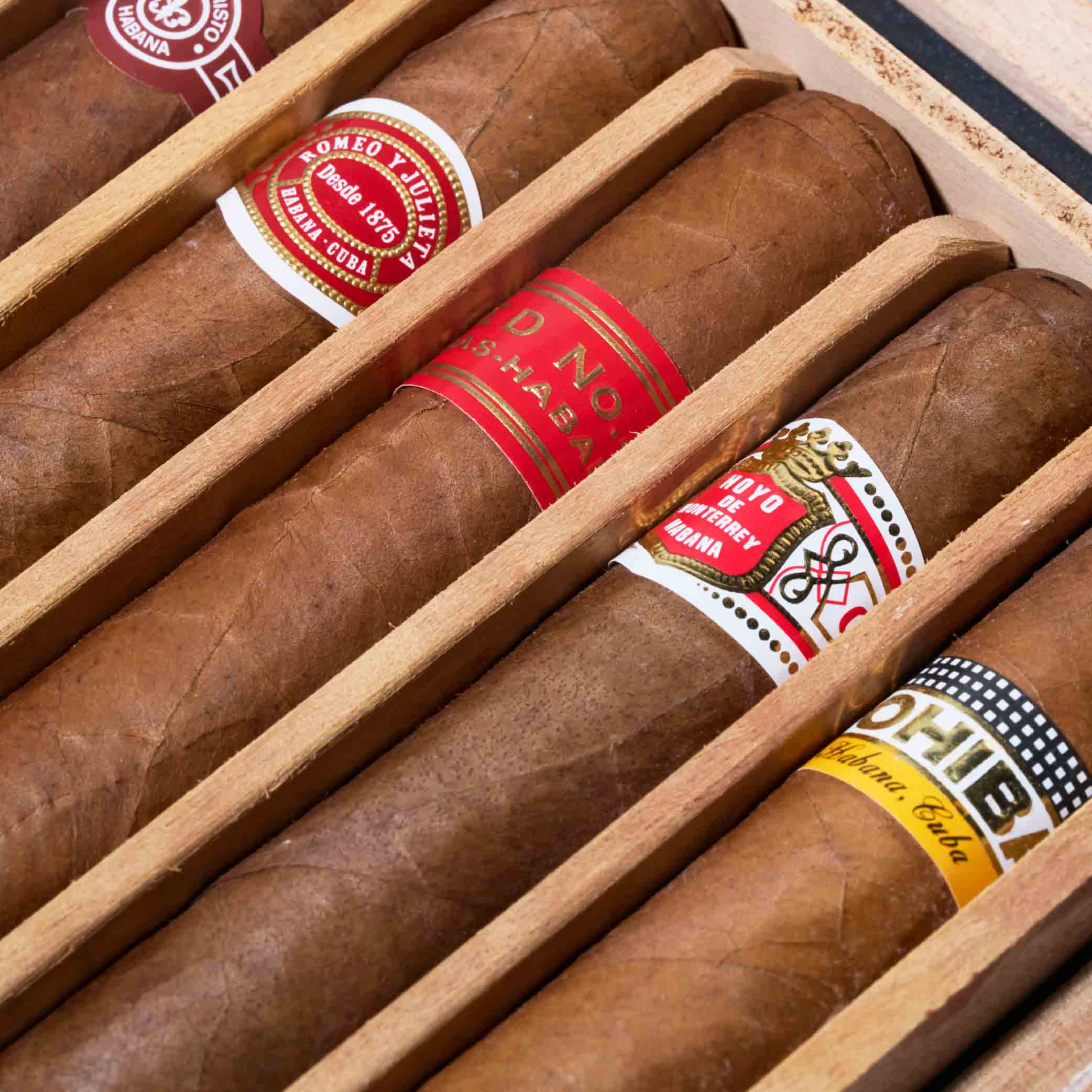 Selección Petit Robustos – Cuban Cigar Sampler Box | Box 5 | Cigar Migratory Hong kong | 古巴雪茄 香港