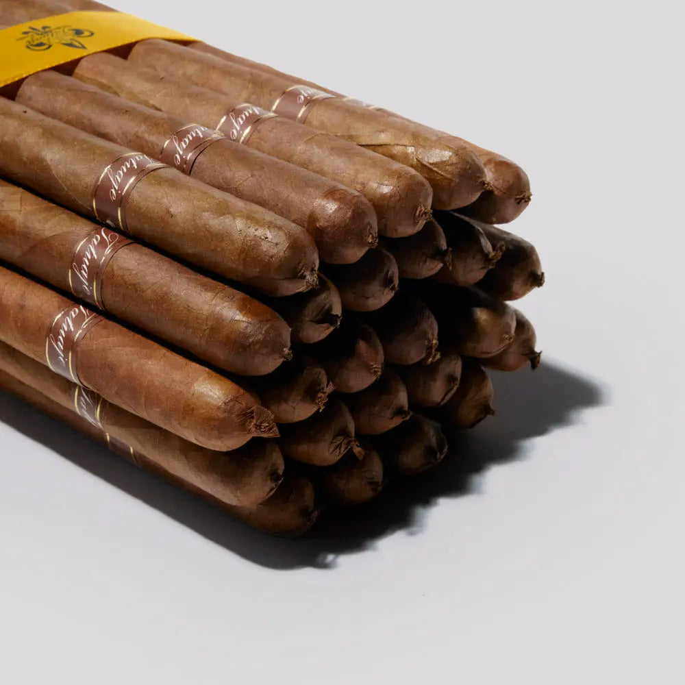 Miami Seleccion del Cazador Especiales | Box 25 | Tatuaje cigar - HK Migratory cigars | 雪茄香港 | cigar hk