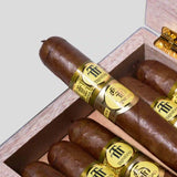 55周年特长罗布图