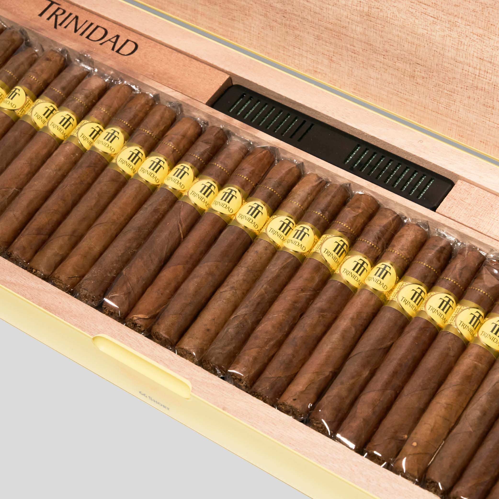 Short Humidor Year of The Dragon | Box 66 | Trinidadl cigar - HK Migratory
