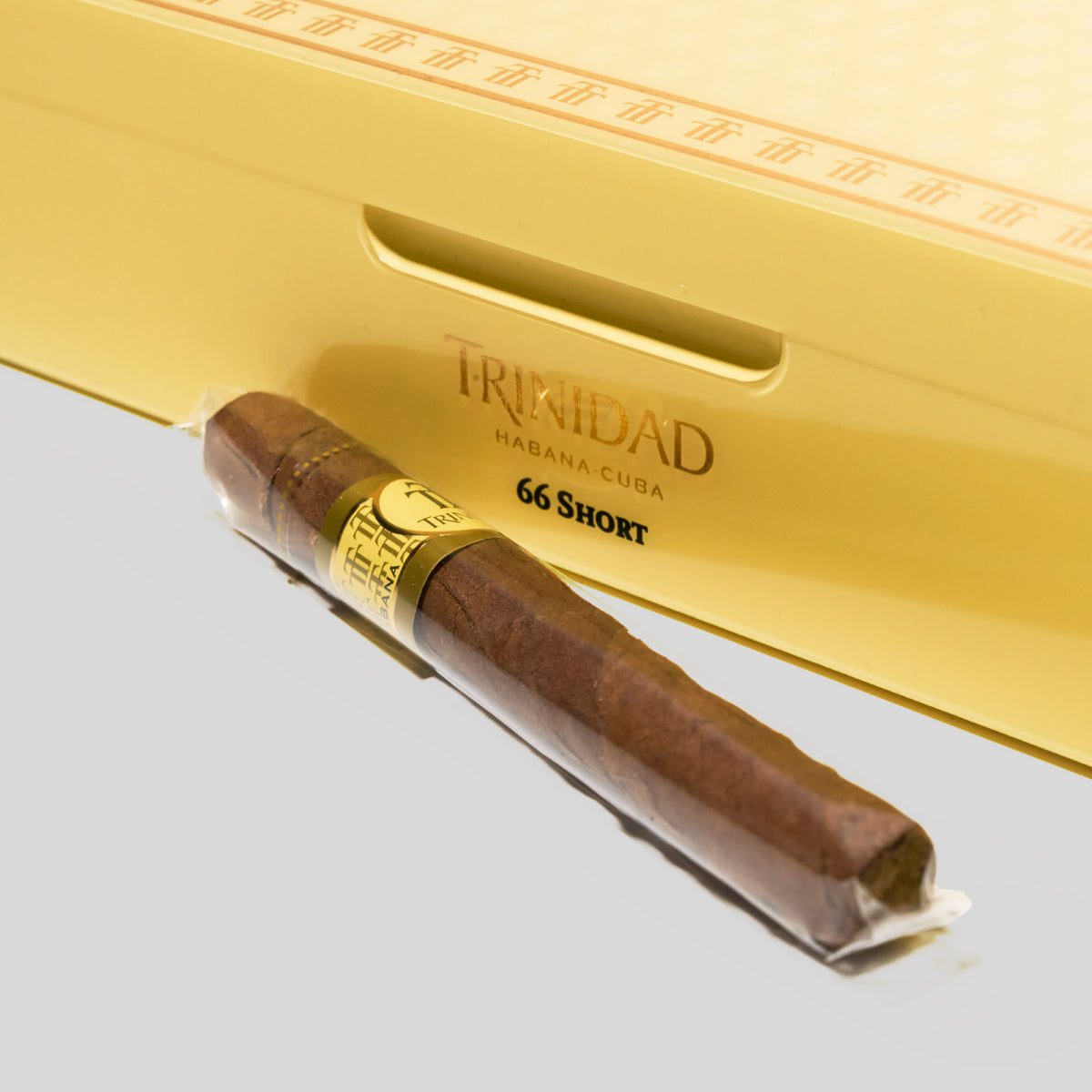 Short Humidor Year of The Dragon | Box 66 | Trinidadl cigar - HK Migratory
