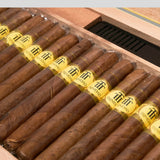 Short Humidor Year of The Dragon | Box 66 | Trinidadl cigar - HK Migratory