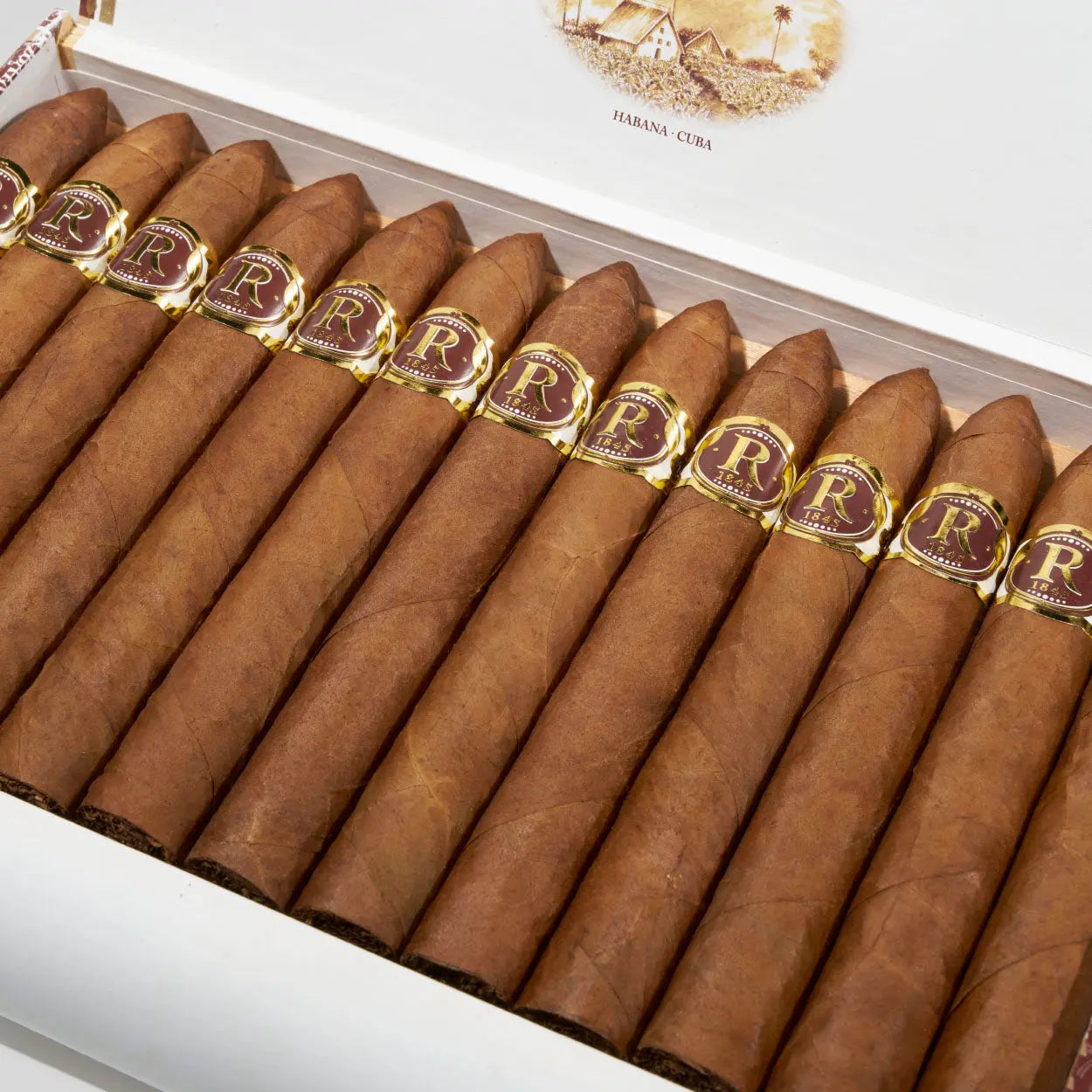 Unicos | Box 25 | Vegas Robaina cigar - HK Migratory cigars