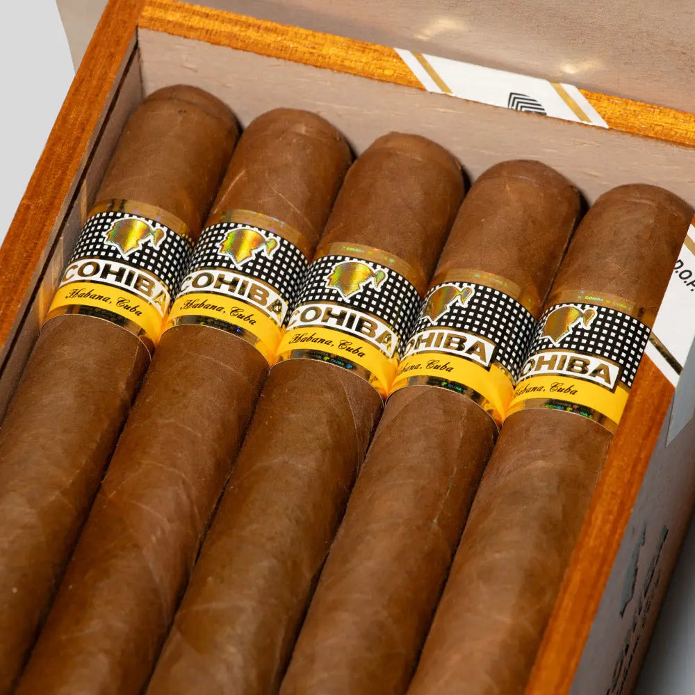 Siglo VI | Box 10 | Cohiba cigar - HK Migratory cigars