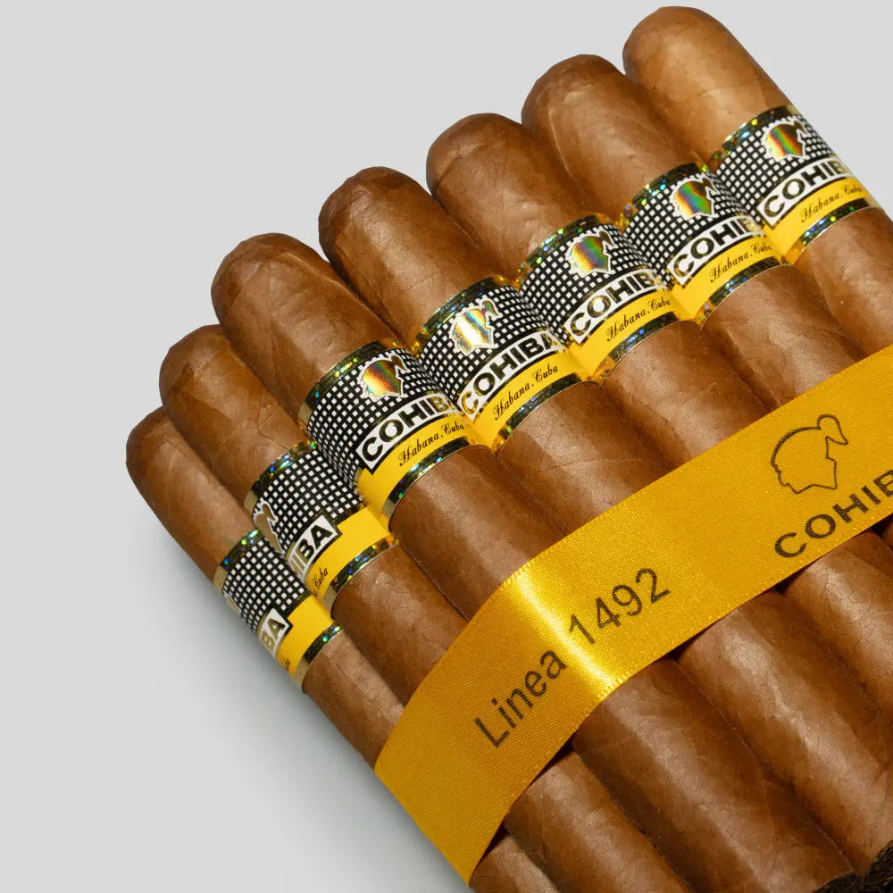 Siglo VI | Box 25 | Cohiba cigar - HK Migratory cigars