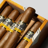 Siglo VI | Box 10 | Cohiba cigar - HK Migratory cigars