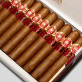 Royal Robusto LCDH | Box 10 | H.Upmann cigar - HK Migratory cigars