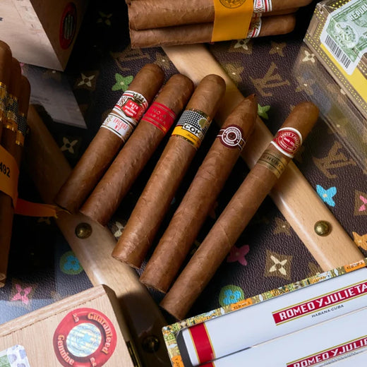 Cuban Cigar Recommendations: 5 Iconic Smokes to Try