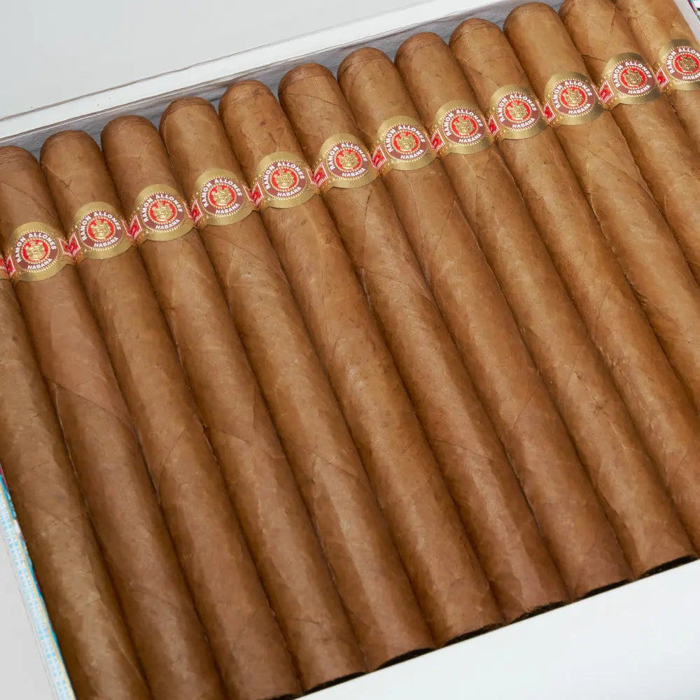 Gigantes | Box 25 | Ramon Allones cigar - HK Migratory cigars