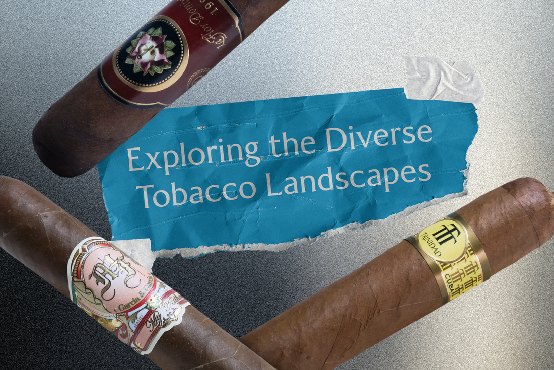 Exploring the Diverse Tobacco Landscapes: A Comparative Tasting of Dominican, Nicaraguan, and Cuban Cigars