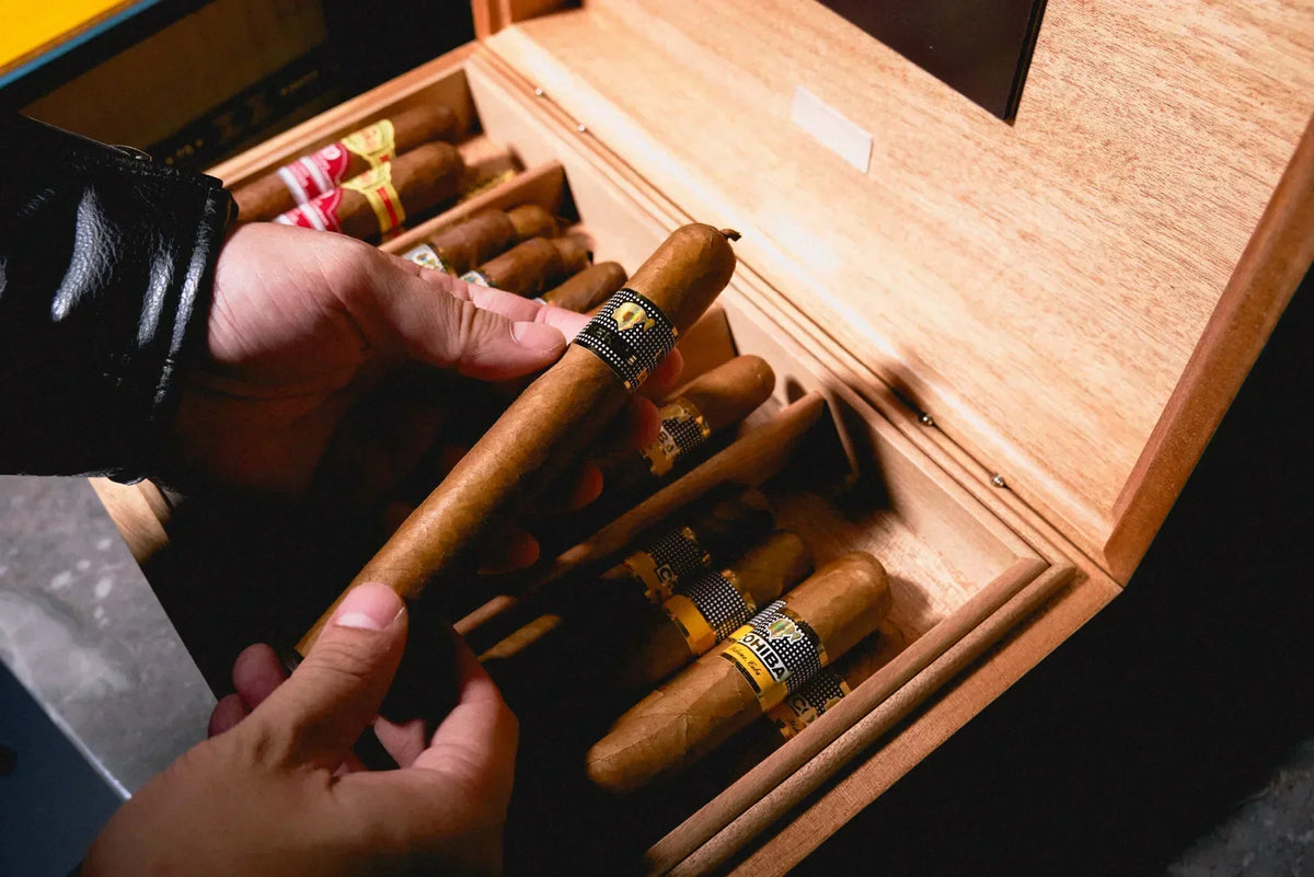 The Fundamentals of the Premium Cigar Experience