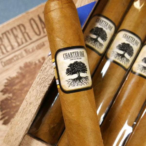 Best New World Cigars for Beginners: Top 7 Starter Picks