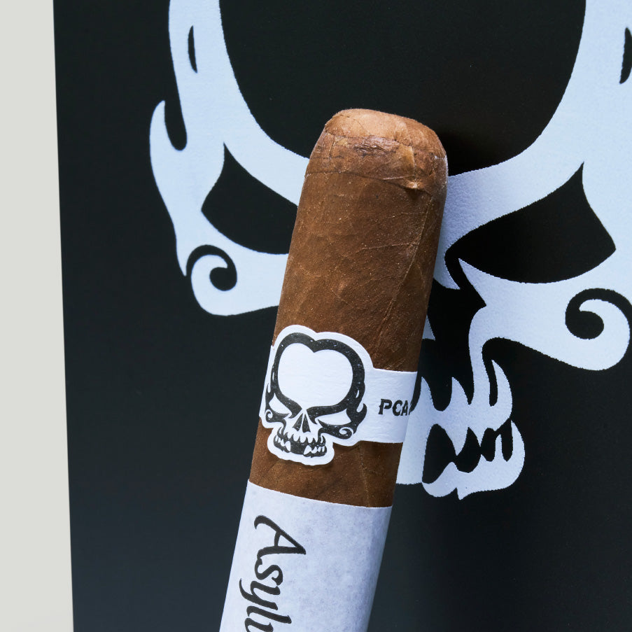Asylum PCA Exlcusive 2024 | Box 100 | CLE cigar - HK Migratory cigars | 雪茄香港