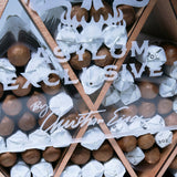 Asylum PCA Exlcusive 2024 | Box 100 | CLE cigar - HK Migratory cigars | 雪茄香港