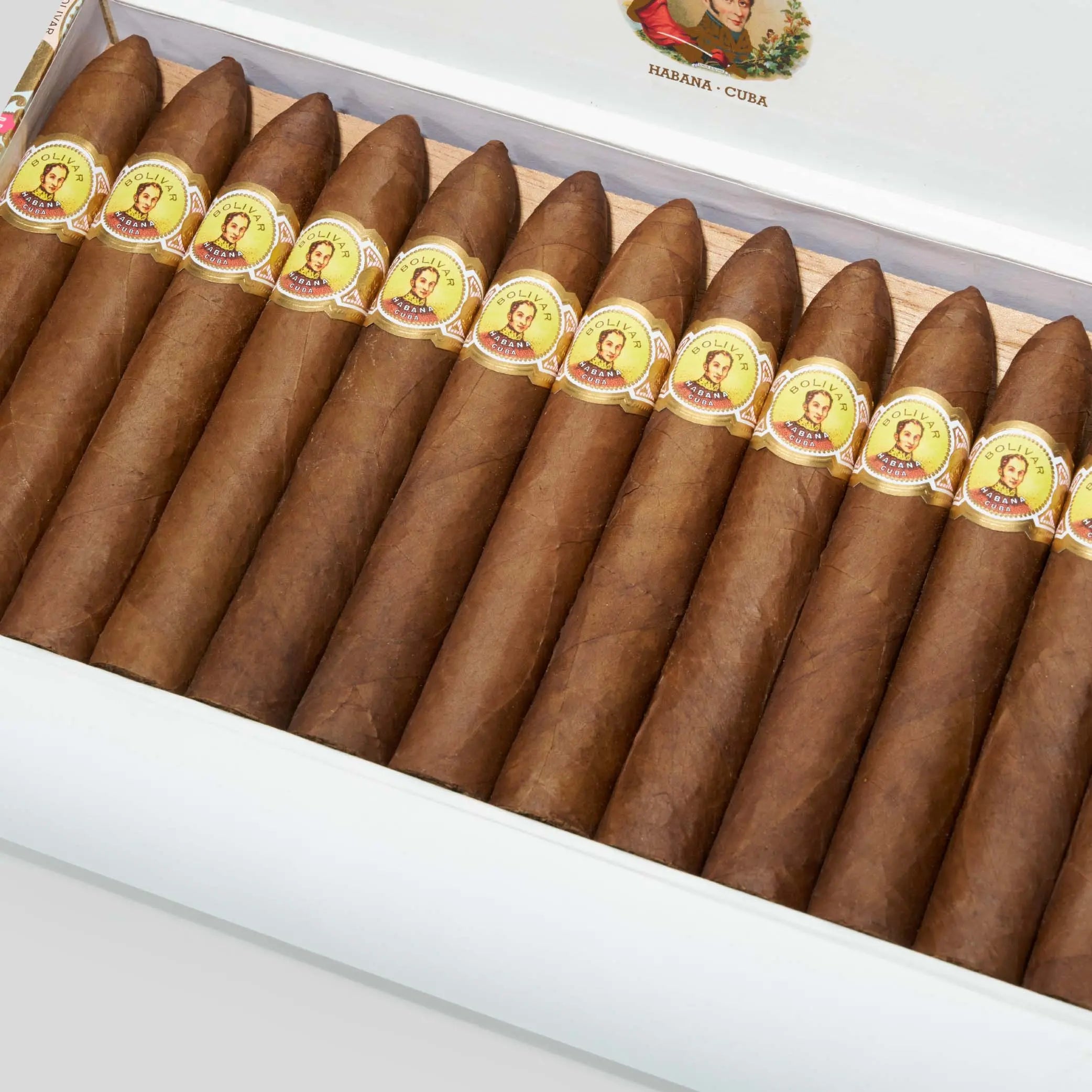 Belicosos Finos | Box 25 | Bolivar cigar - HK Migratory cigars
