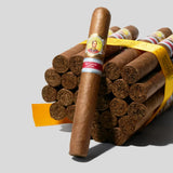 叶巻日本地区限定版(2025年份)