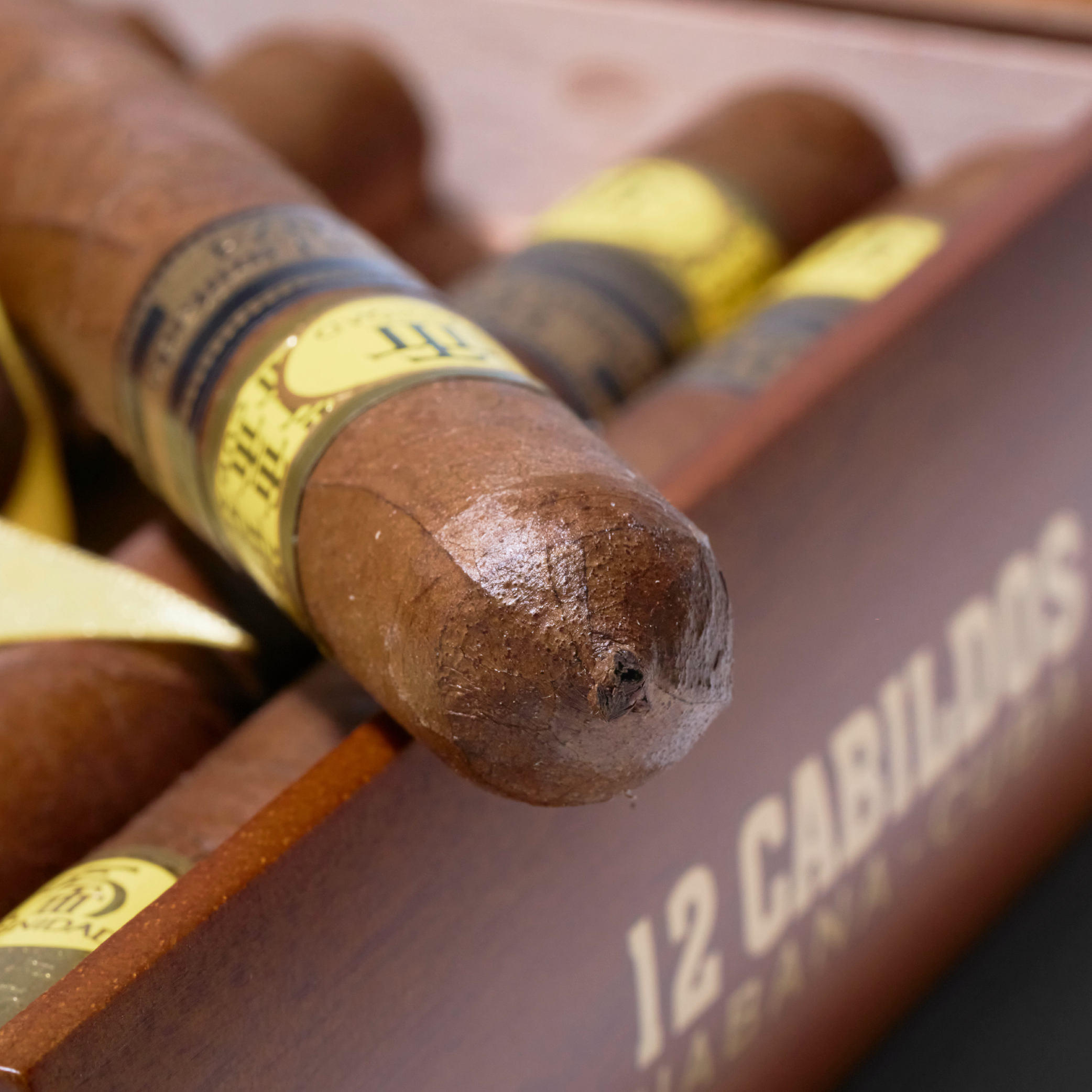 Cabildos Edicion Limitada 2024 | Box 12 | Trinidadl cigar - HK Migratory cigars | 古巴雪茄 香港