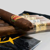 Assortment 5 Pack | Box 5 | Casa Magna cigar - HK Migratory cigars | 雪茄香港
