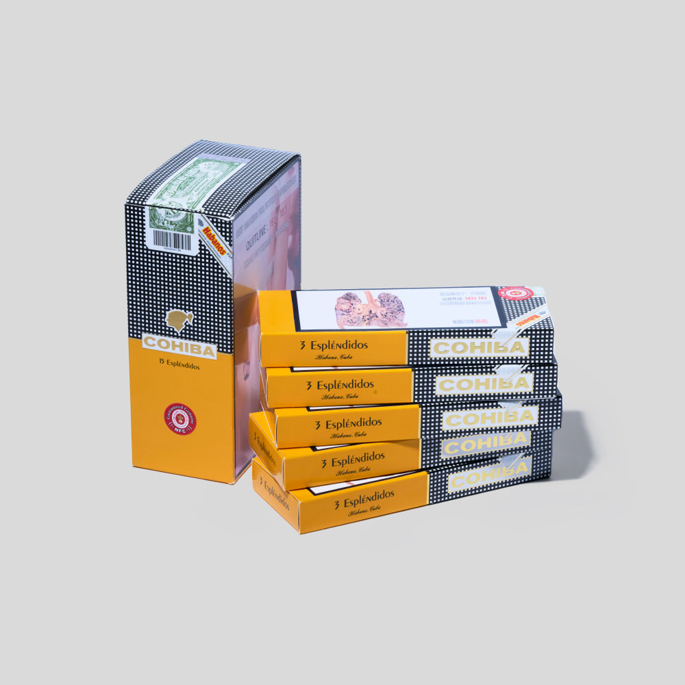 Esplendidos Paper Box Packing