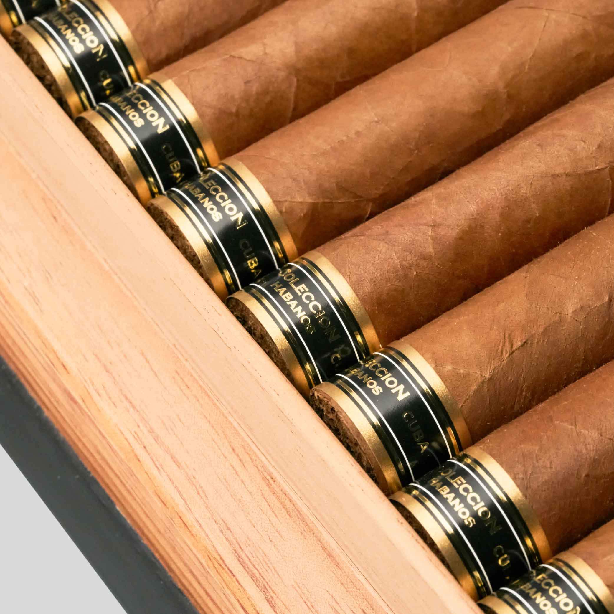 Super Magnum Coleccion Habanos Edicion Book 2020 | Box 20 | H.Upmann cigar - HK Migratory cigars | 雪茄香港