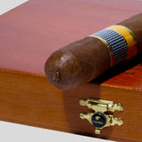 Ambar | Box 10 | Cohiba cigar - HK Migratory cigars