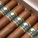 Cohiba Behike BHK 54| Vintage 2019 | Buy Cuban Cigar from Migratory HK | 古巴雪茄 香港