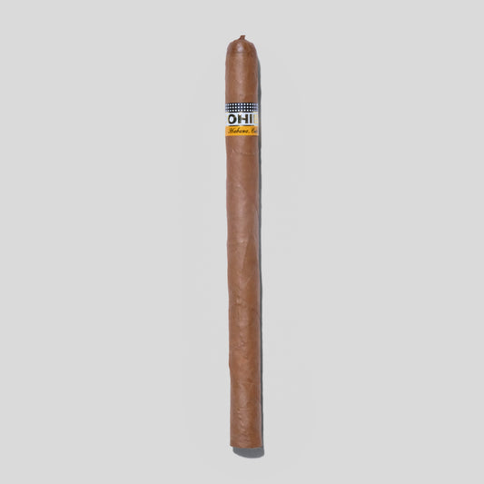 Lanceros (Vintage 2013) | Box 25 | Cohiba cigar - HK Migratory cigars