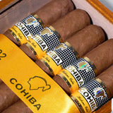 Siglo IV | Box 25 | Cohiba cigar - HK Migratory cigars
