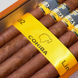 Siglo V | Box 25 | Cohiba cigar - HK Migratory cigars | 古巴雪茄 香港