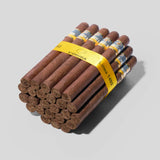 Siglo V | Box 25 | Cohiba cigar - HK Migratory cigars | 古巴雪茄 香港