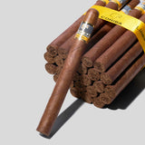 Siglo V | Box 25 | Cohiba cigar - HK Migratory cigars | 古巴雪茄 香港