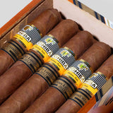 Talisman Limited Edition 2017 (Vintage 2019) | Box 10 | Cohiba cigar - HK Migratory cigars | 古巴雪茄 香港