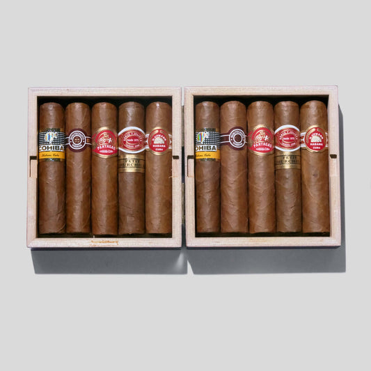 Selección Petit Robustos Vintage 2016 | Box 6 | Cuban Cigars HK | 雪茄 香港