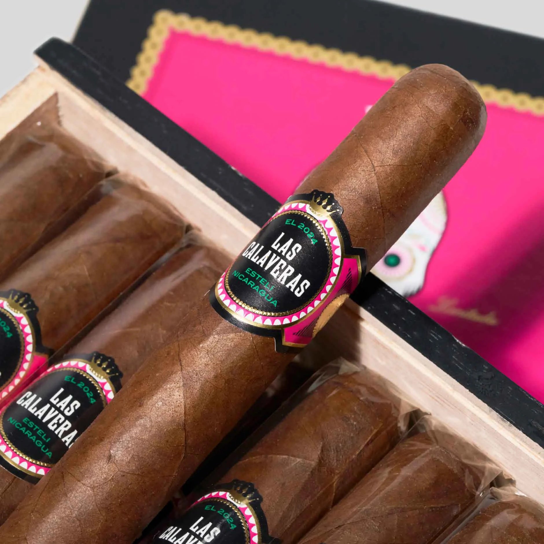 骷髏頭限量版2024 LC 48