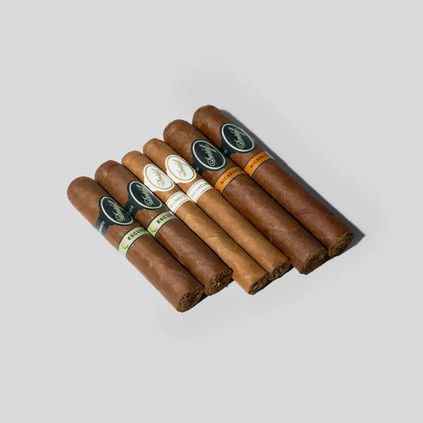 Davidoff Cigar Bundle (6 Sticks)