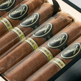 Escurio Robusto | Box 12 | Davidoff cigar - HK Migratory cigars | 雪茄香港