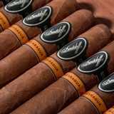 Nicaragua Robusto Cigar Bundle (Uncut) | Bundle 10 | Davidoff cigar - HK Migratory cigars | 雪茄香港