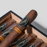 Nicaragua Robusto (5 Sticks)