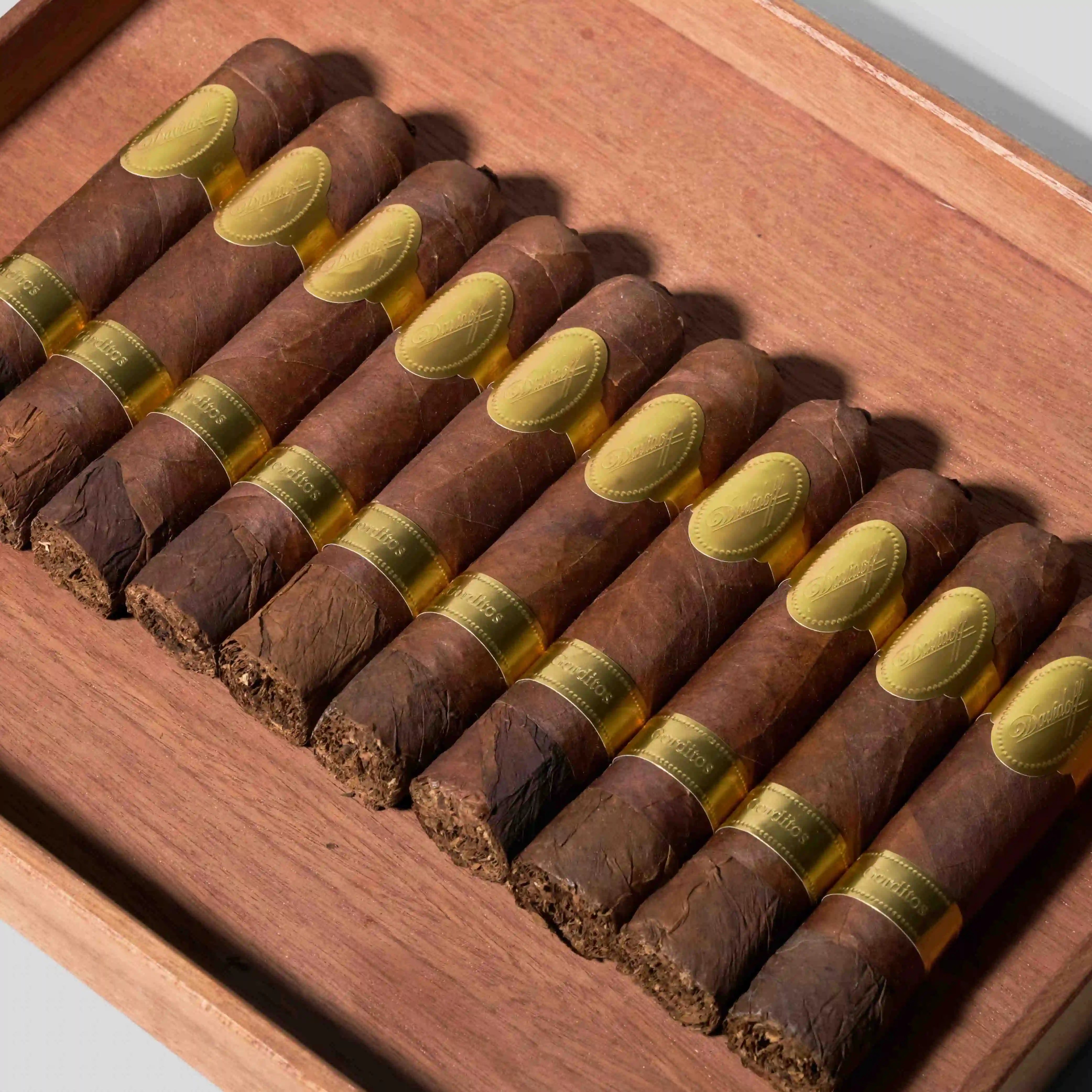 Puro d'oro Gorditos 58 Cigar Bundle (Uncut)