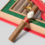 Year of the Horse 2026