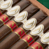 Year of the Horse 2026