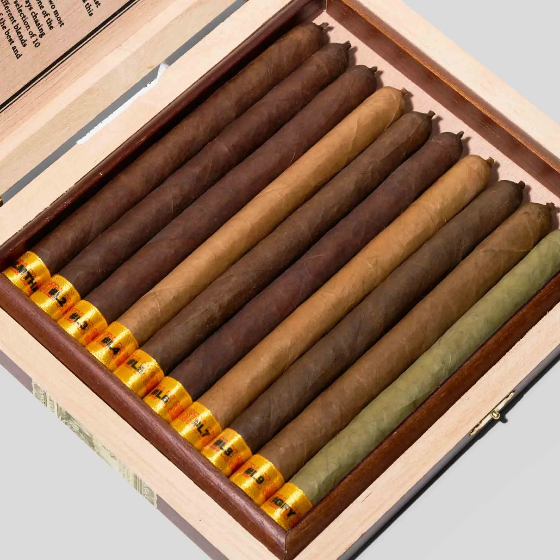 穆埃斯特拉·德·薩卡#GFY 長矛型系列