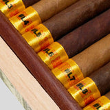 Muestra de Saka #GFY Lancero Collection Sampler
