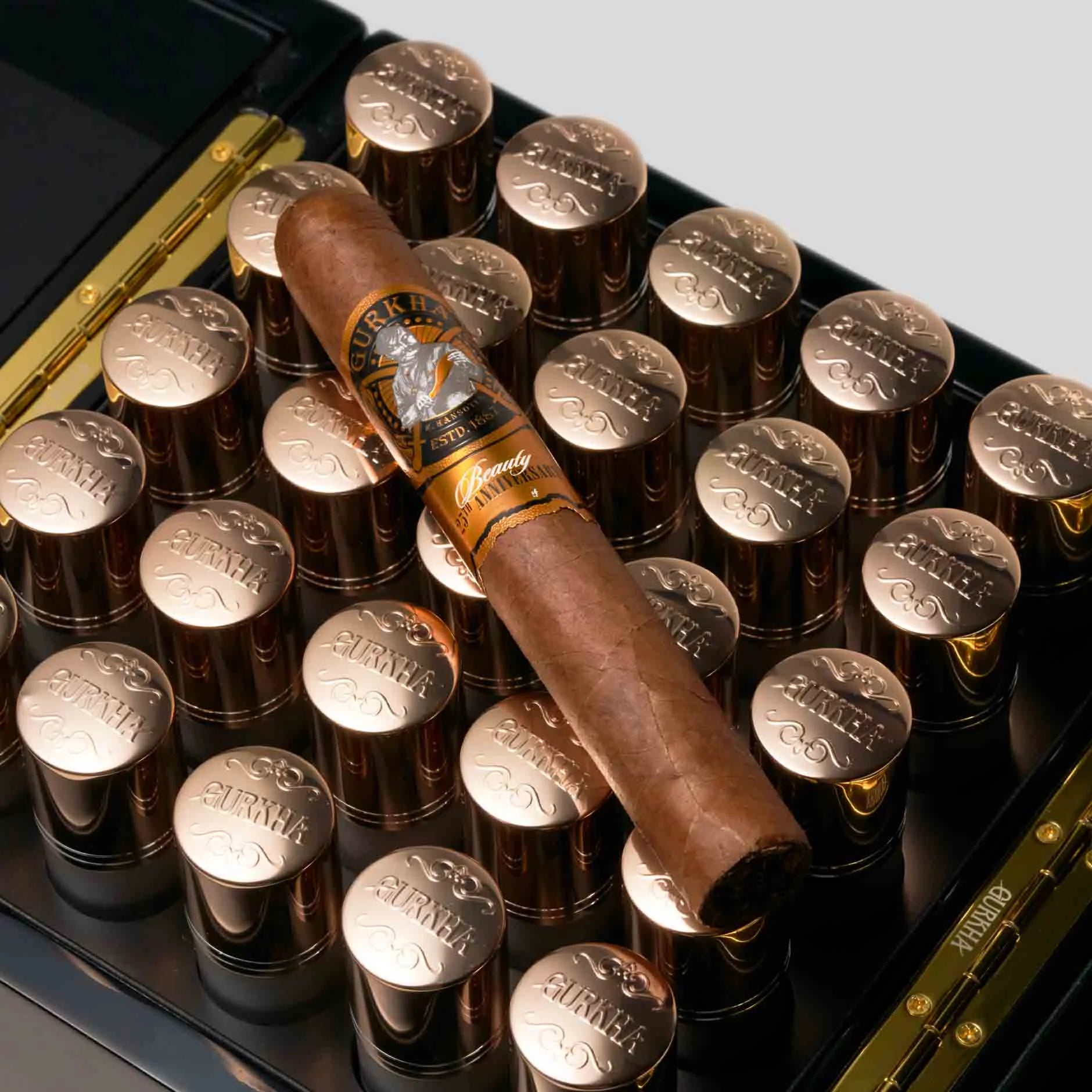 美麗25週年限量版