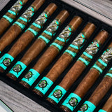 Dragonfly Limited Edition 2025