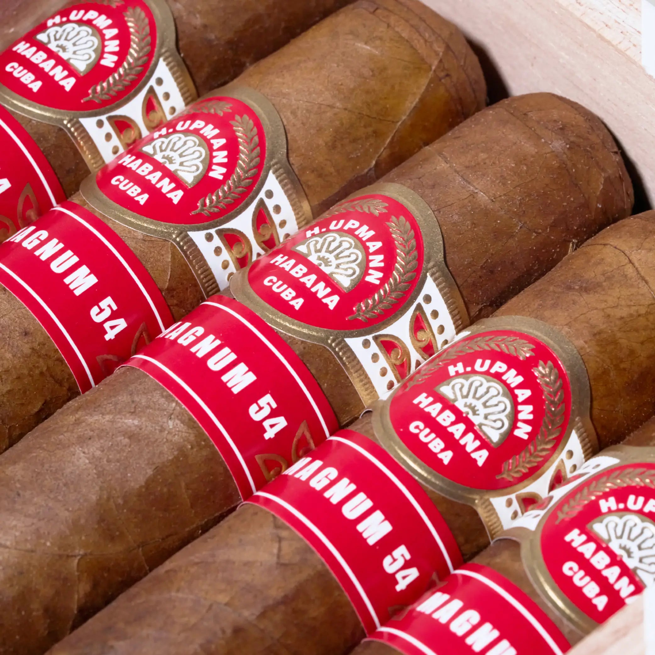 Magnum 54 (Vintage 2019)