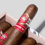 Magnum 54 | Box 10 | H.Upmann cigar - HK Migratory cigars | 雪茄 香港