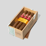 Magnum 50 (Vintage 2008) | Box 10 | H.Upmann cigar - HK Migratory cigars
